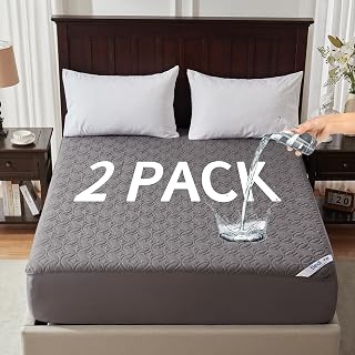 BEDLORE 2 Pack Waterproof Mattress Protector Twin, Gray