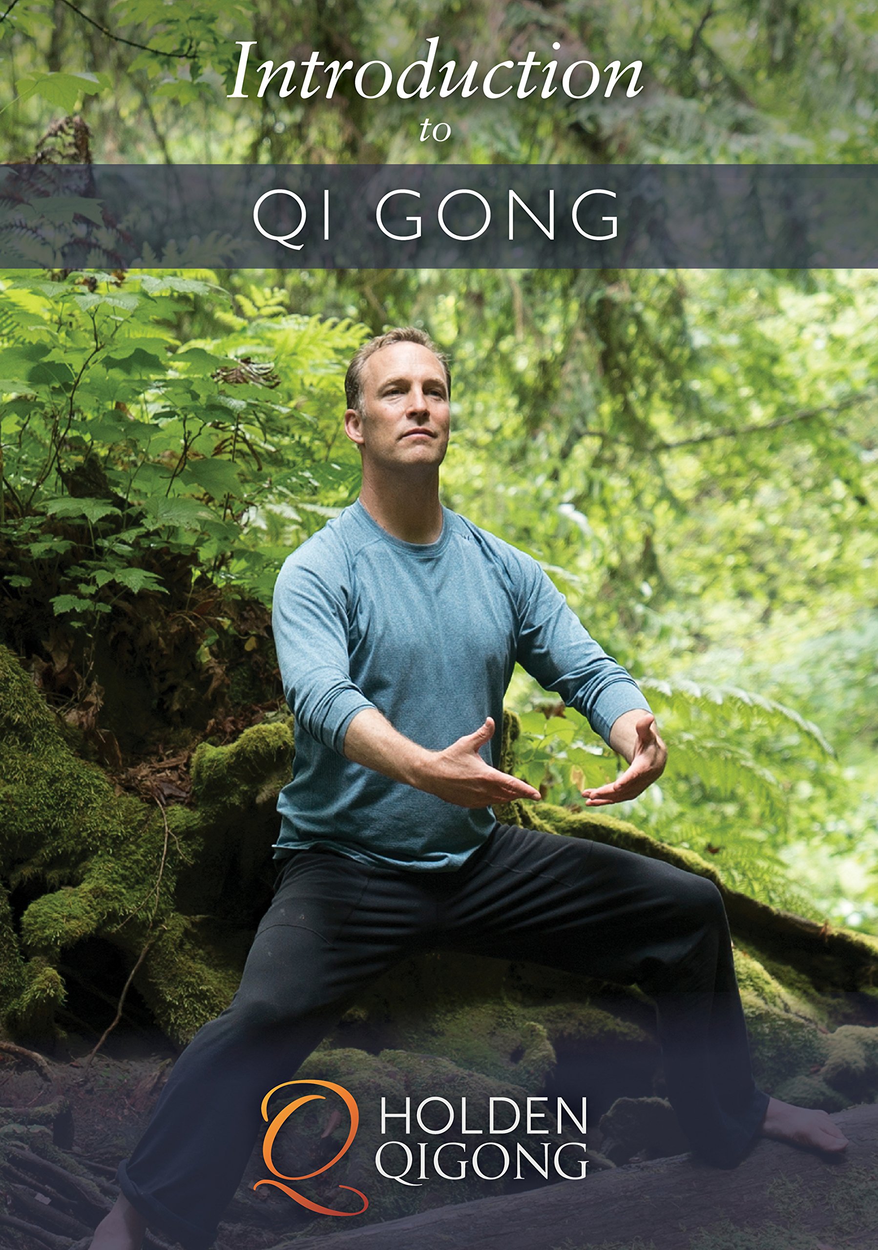 Introduction to Qigong Exercise for Beginners with Lee Holden DVD (YMAA) ALL NEW