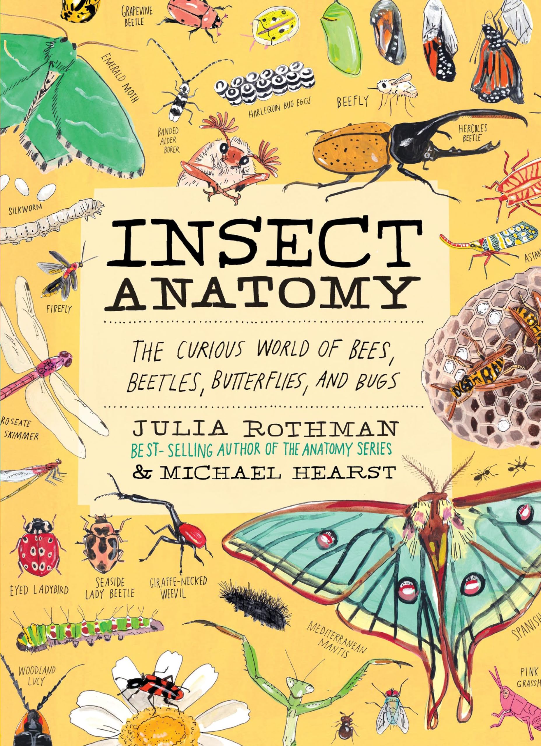 Insect Anatomy: The Curious World of Bees, Beetles, Butterflies, and Bugs