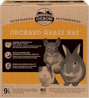 Oxbow Orchard Hay, Rabbit & Guinea Pig Hay, Hand-Sorted, De-Dusted, 9 lb | Hand-Sorted, De-Dusted, Oxbow Orchard Grass Hay, Bunny Hay For Rabbits, Guinea Pigs, Bunnies and Chinchillas, Made in USA
