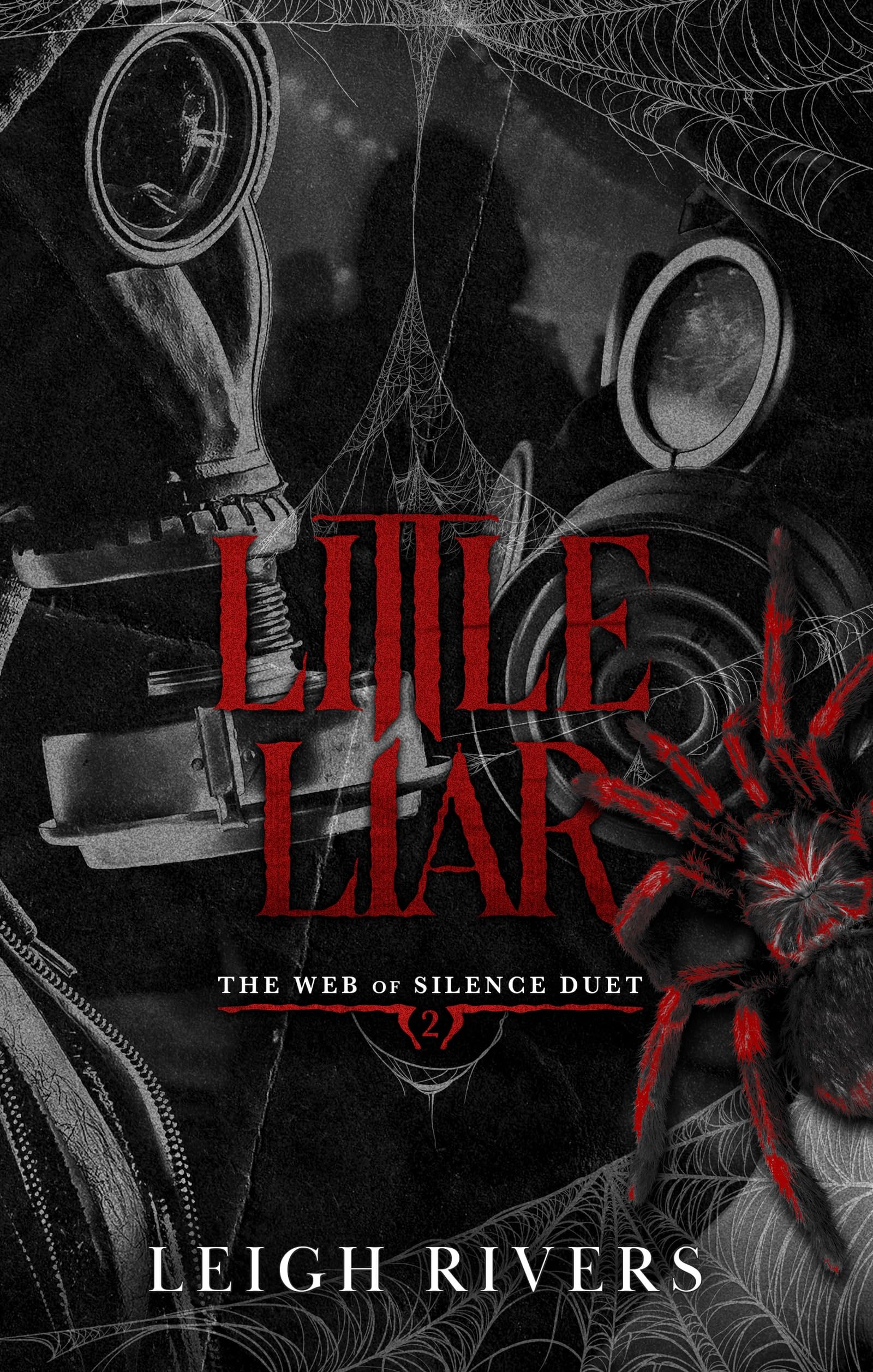 Little Liar (Web of Silence Book 2)