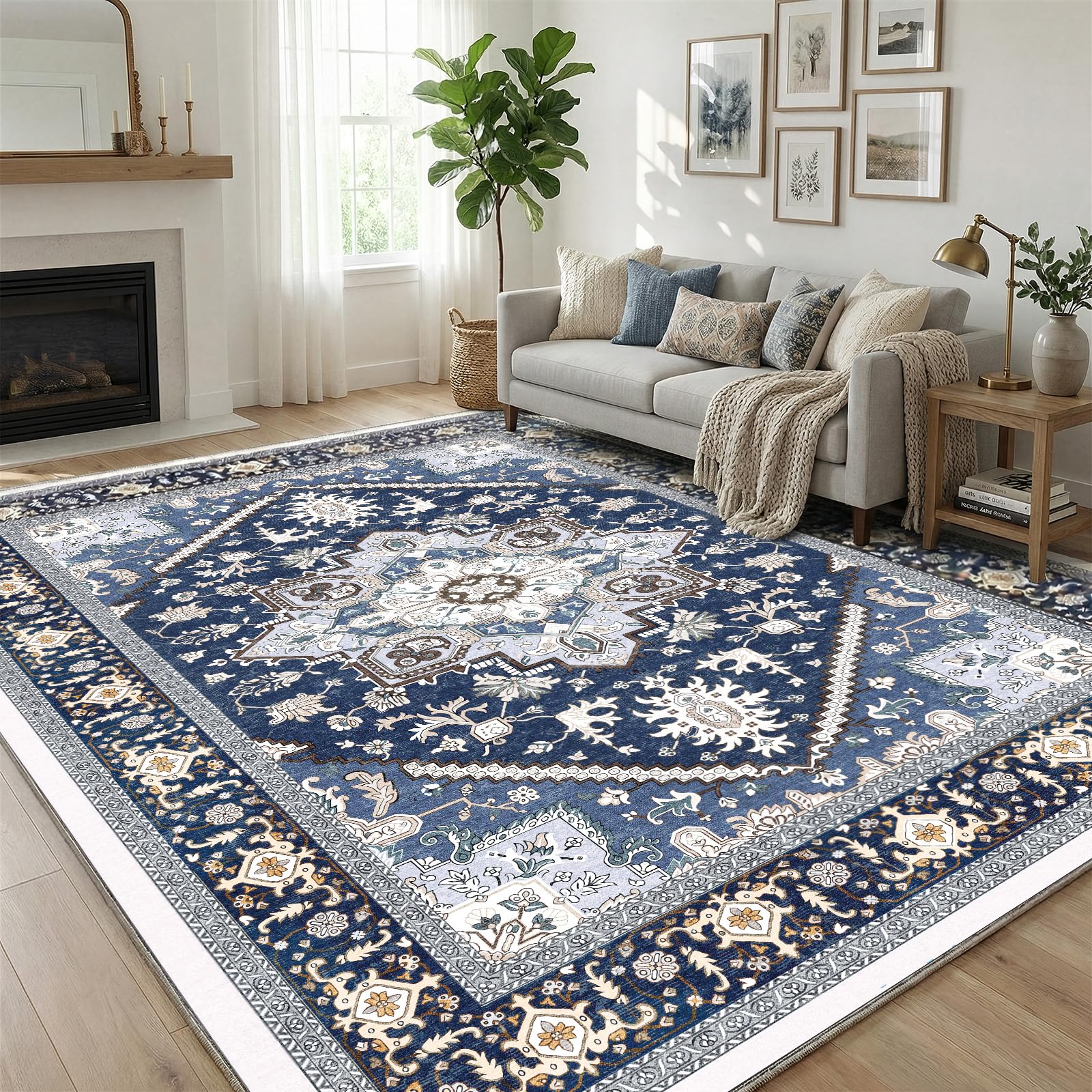 OPPODREAM Soft Area Rug 5x7, 5x7 Rugs for Living Room, Washable Rugs for Bedroom