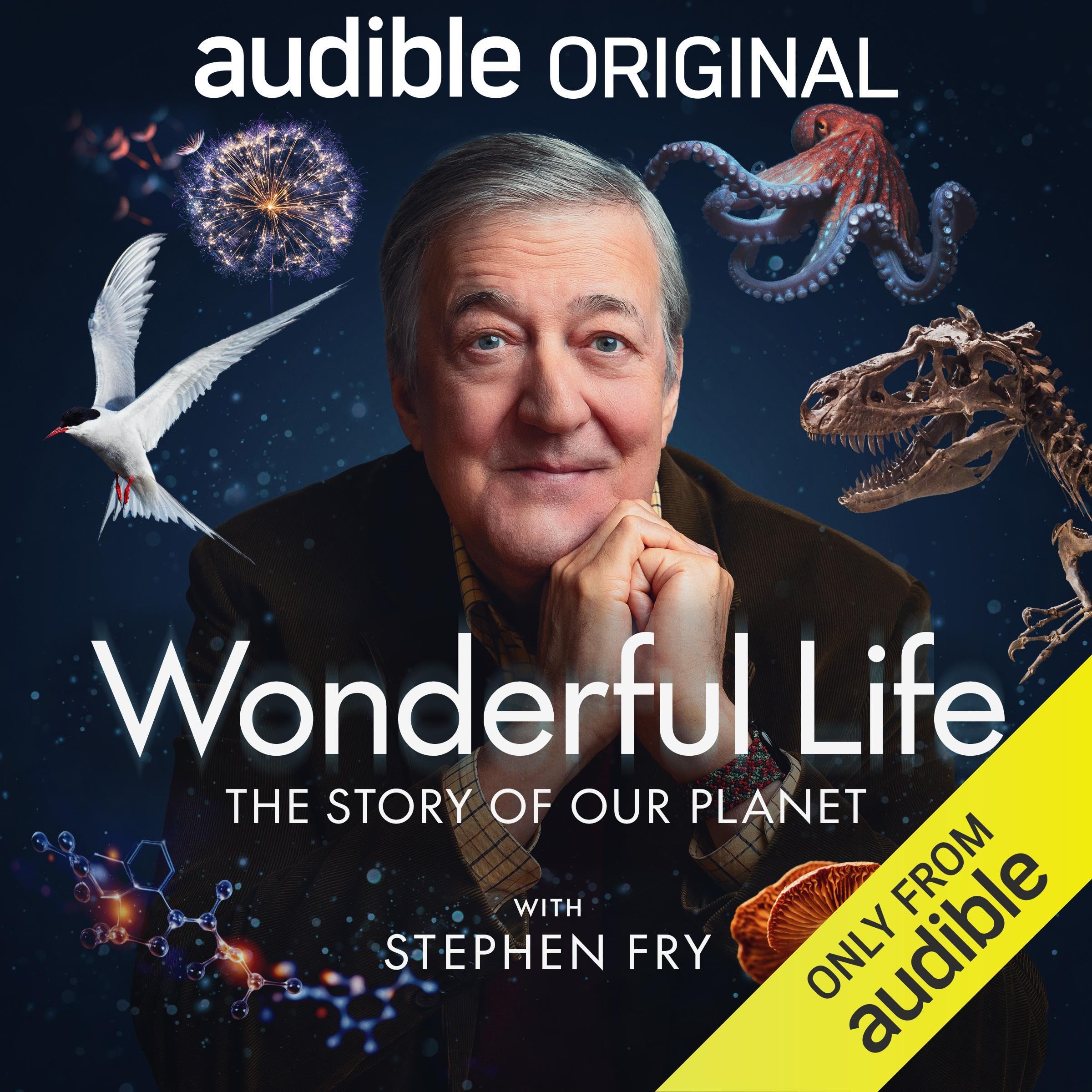 Wonderful Life with Stephen Fry