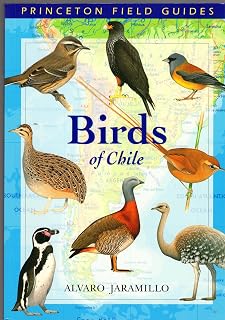 Birds of Chile (Princeton Field Guides)