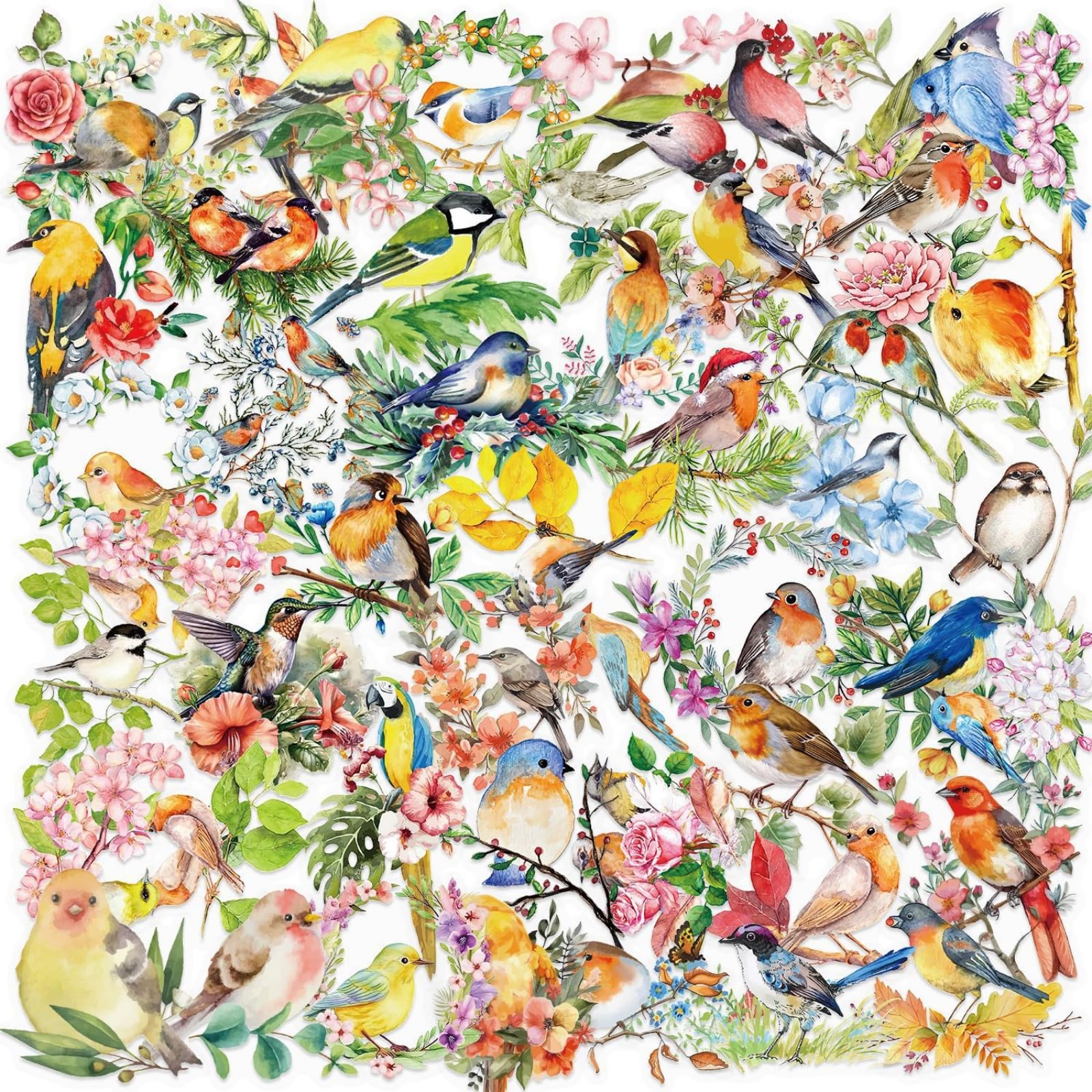 50 Vibrant Water Bird Stickers Reusable Vinyl | Colorful Nature Inspired Designs