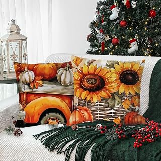 Pack of 2 Halloween Decorative Throw Pillow Covers Square Cushion Covers 18x18 Inch for Sofa Outdoor Farmhouse Couch Living Room Bedroom Home Decor 18x18 Inch B8