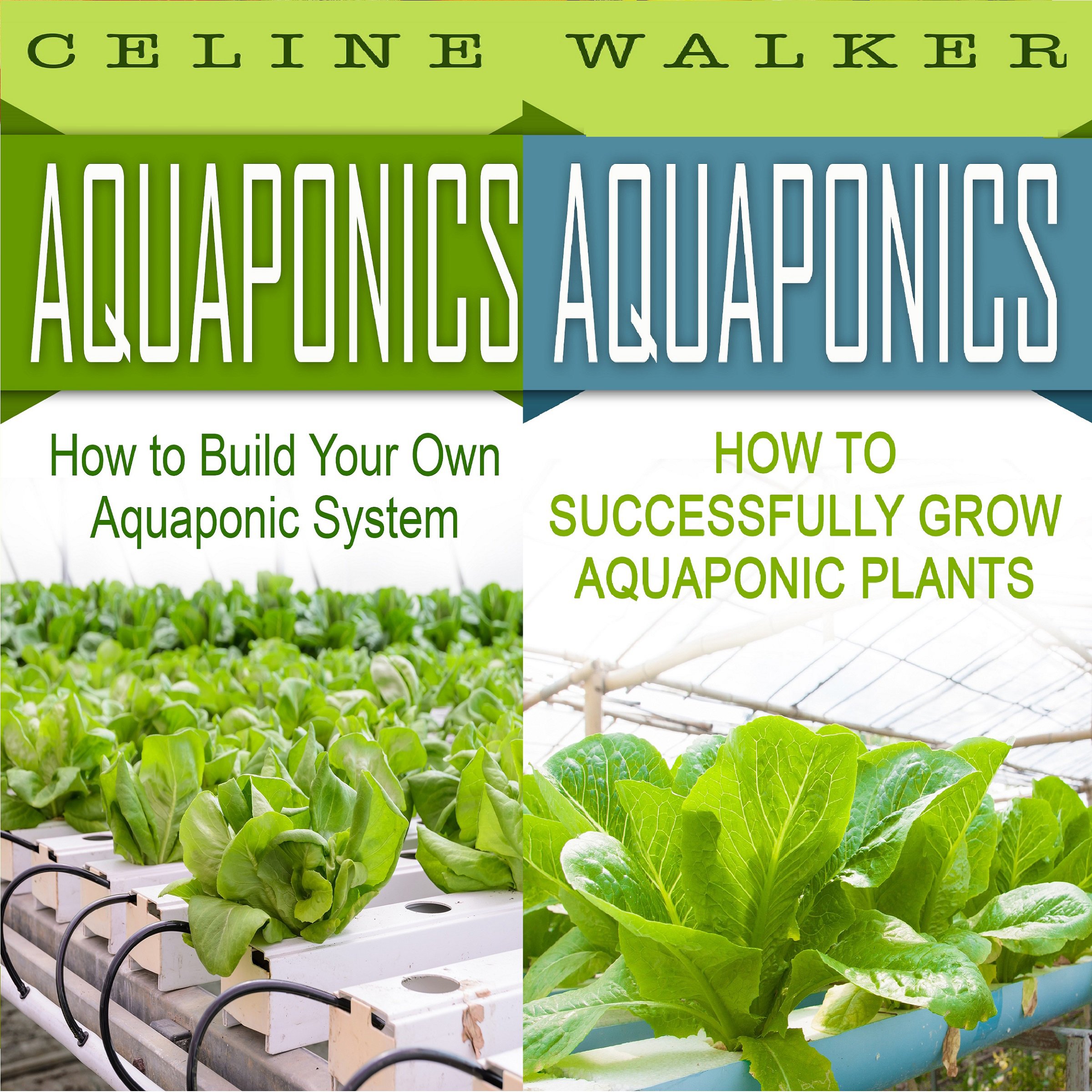 Aquaponics: How to Build Your Own Aquaponic System and Successfully Grow Aquapon