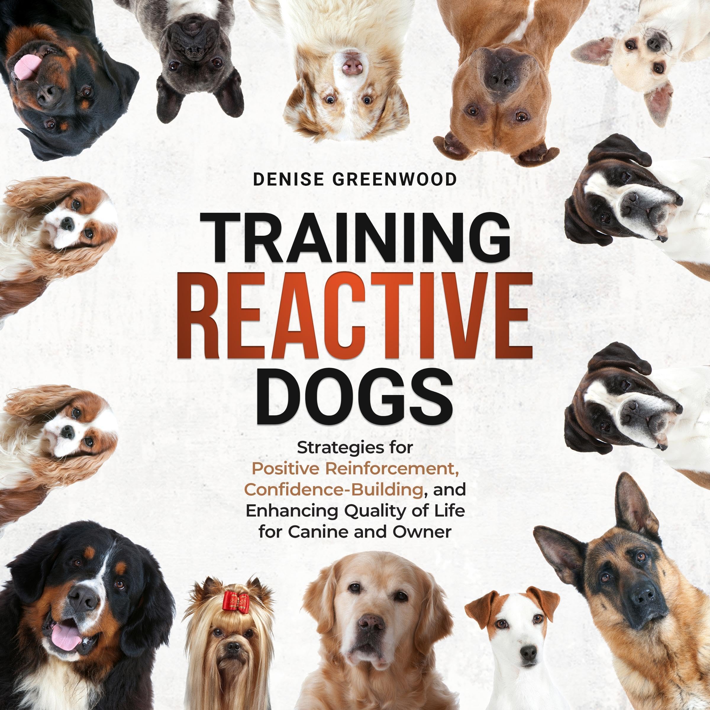 Training Reactive Dogs: Strategies for Positive Reinforcement, Confidence-Buildi