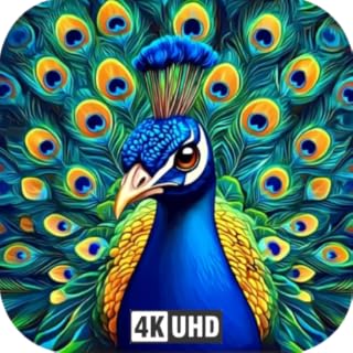 Peacock Screensaver