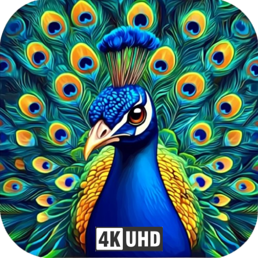 Peacock Screensaver