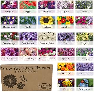 Pronto Seed Bumper Flower Grow Your Own Kit - 24 Varieties | Over 3,100 seeds across 24 flower varieties to attract butterflies & bees. Gardening gift for women and men.