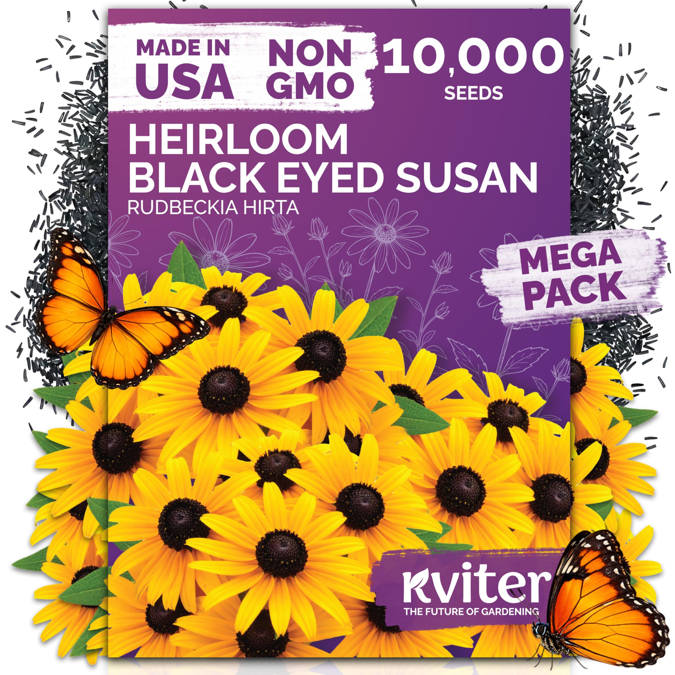 10,000 Black Eyed Susan Heirloom Flower Seeds for Planting, Rudbeckia Hirta | Gl