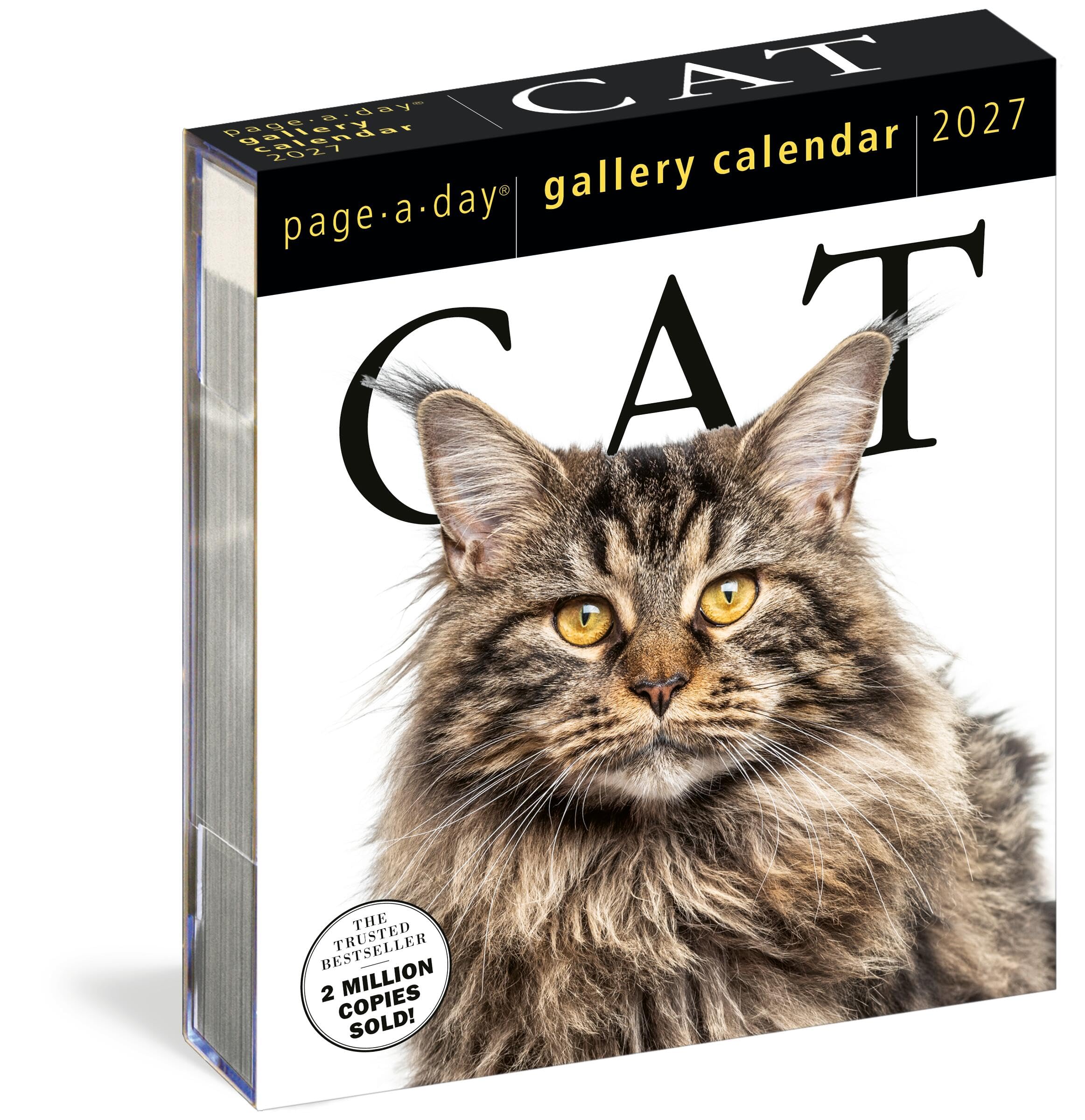 Cat Page-A-Day® Gallery Calendar 2027: A Delightful Gallery of Cats for Your Des