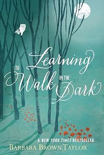Learning to Walk in the Dark: A Study of Spiritual Growth Through Darkness
