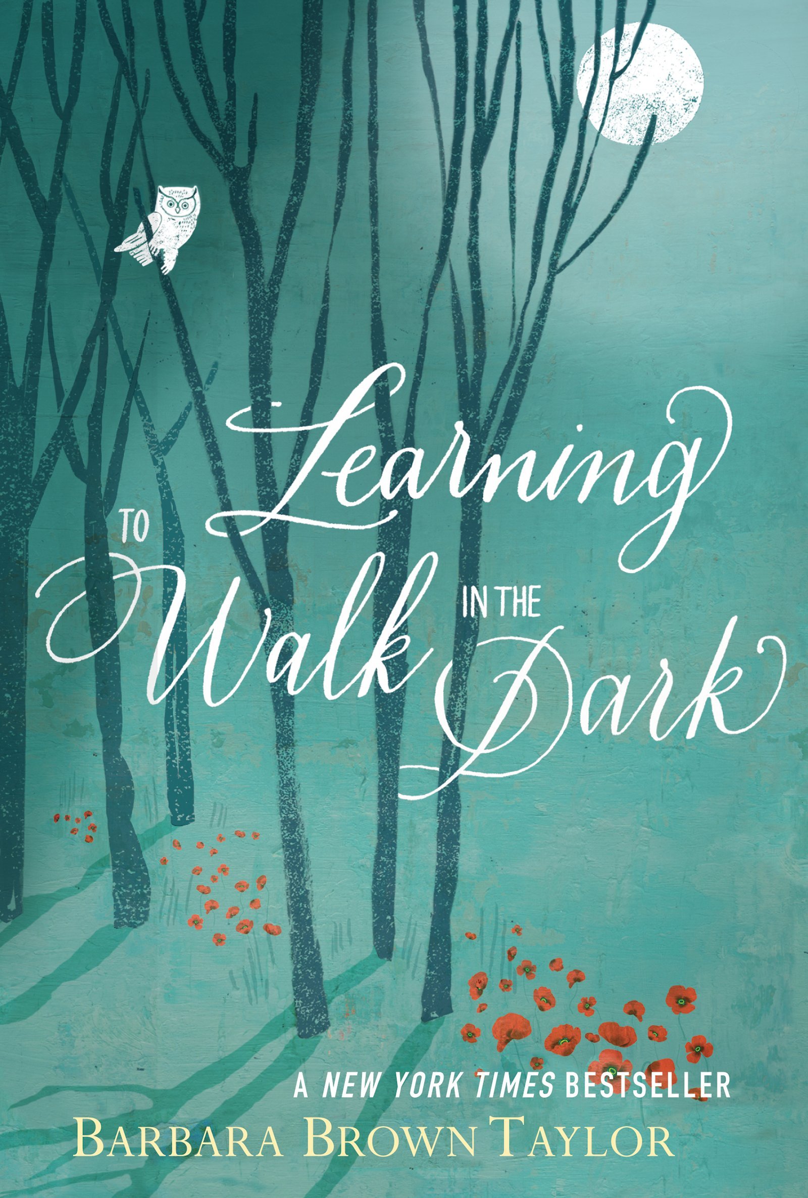 Learning to Walk in the Dark: A Study of Spiritual Growth Through Darkness