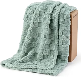 Bedsure Checkered Fleece Throw Blanket,Cute Home Decor,Sage Green,50"×60" | Couch/Sofa/Bed/Office, Lightweight Design, Soft Cozy Cute, All Season, Gifts for Women Girls, Bedroom Home Decor