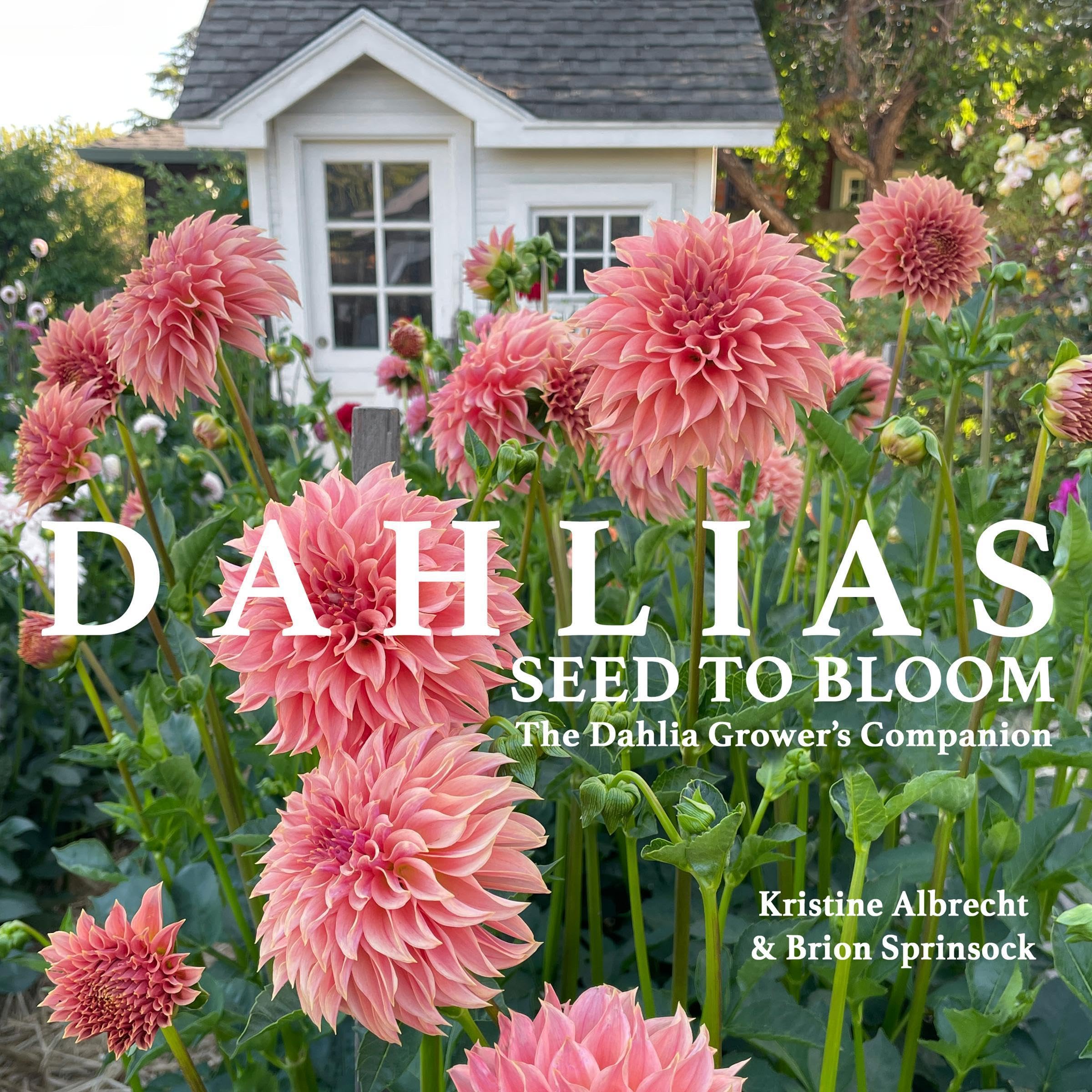 Dahlias: Seed to Bloom: The Dahlia Grower's Companion