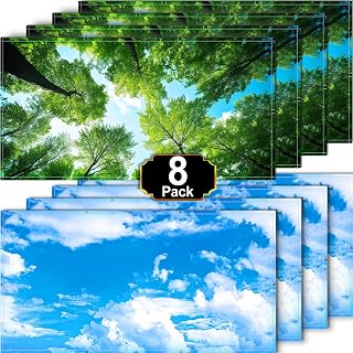 Aheroi Light Covers for Ceiling Lights Classroom, Fluorescent light covers | Magnetic Light Covers for Ceiling Lights 8Pcs,Teacher Classroom Must Haves 4x2FT Room Office School Supplies(Forest&Blue Sky)