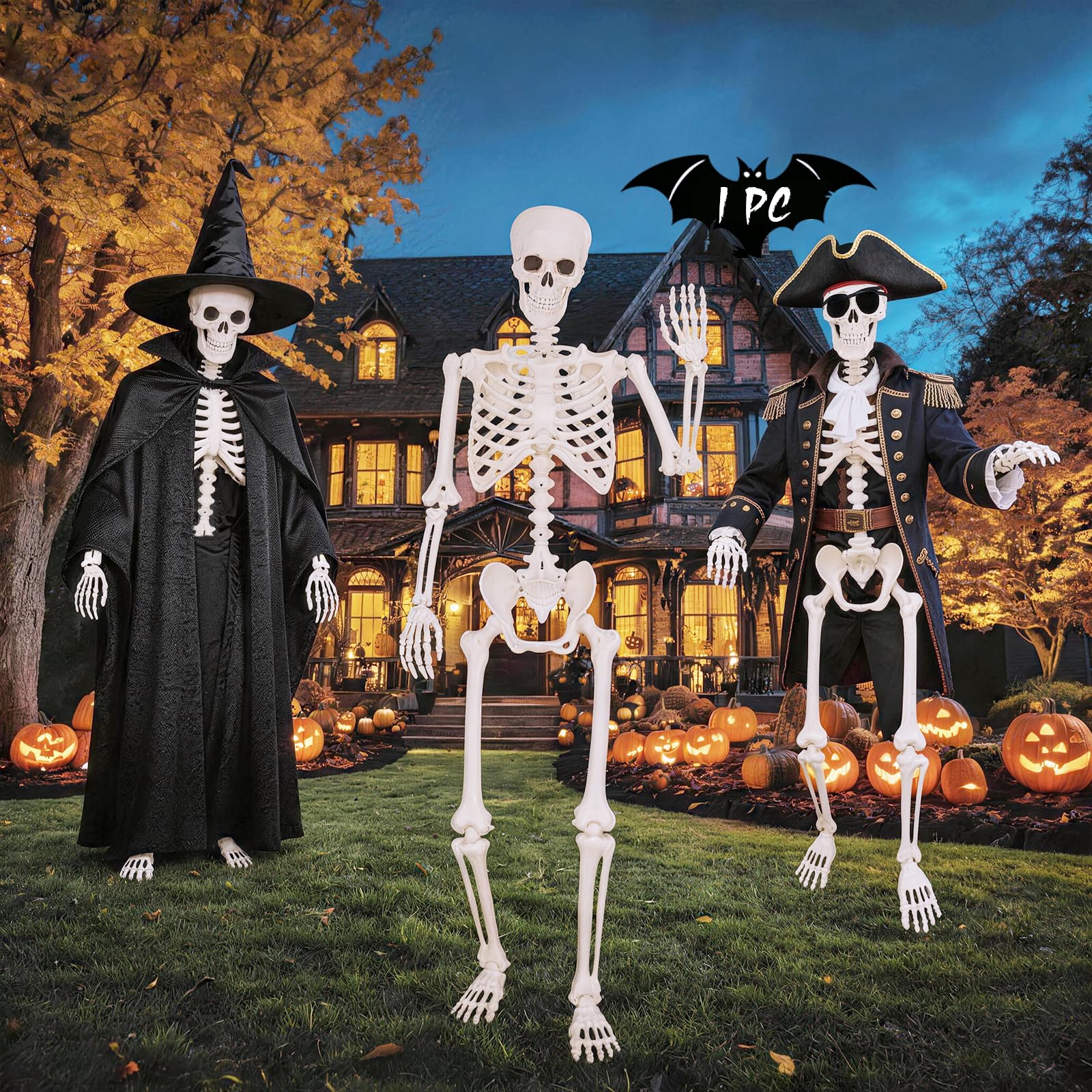 breesky Life Size Skeleton for Halloween: 4.43ft Realistic Human Anatomy Full Bo