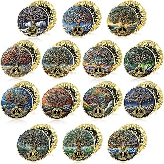 Blueweenly 14 Pcs AA Sobriety Coins Set, 24 Hour & 1-11 Month,Tree | Recovery Tokens for Men and Women, Newcomer to 11 Month Milestones, Bulk Sobriety Gift Set, Nature Design Challenge Chips
