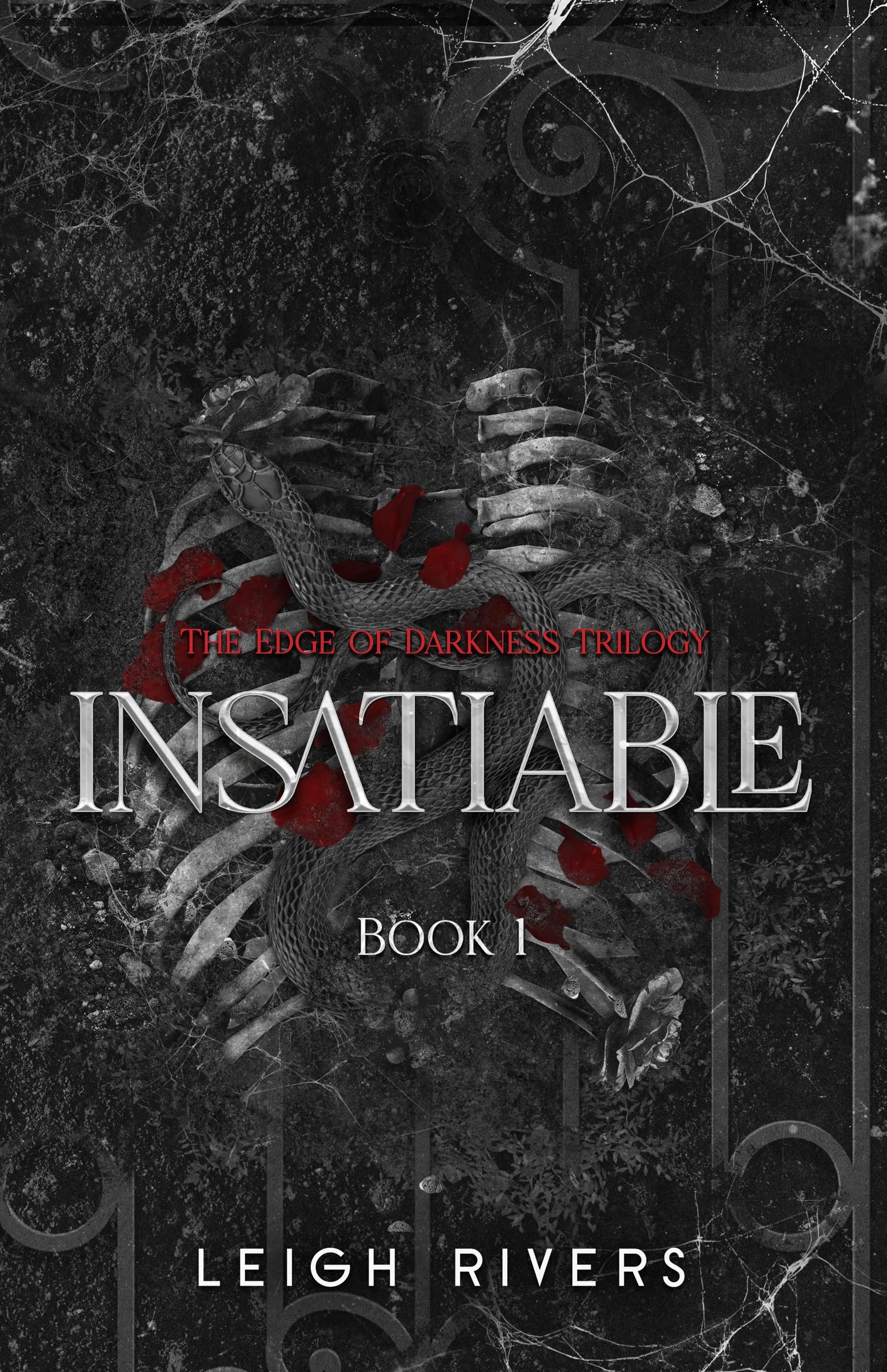 Insatiable (Edge of Darkness Book 1)