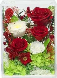 Long-Lasting Real Flowers - Handmade Rose Bush Gift For You To Send Love | Forever Preserved Flower Arrangement With Delivery For Any Occasion, For Indoor Decoration (Eternal Red White Roses)