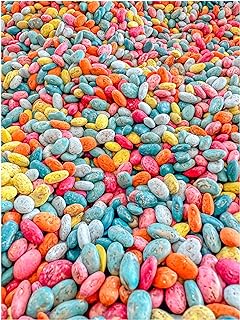 Colorful Sensory Bin Filler Themed and Seasonal Beans (Summer, 4 Cups)