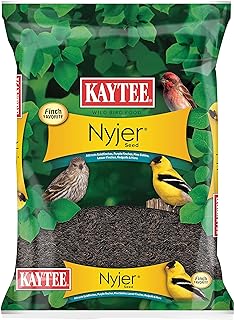 Kaytee Nyjer Thistle Seed, 3 Pound (Pack of 1) | Less mess. Finch bird seed for small songbirds. No hulls, 100% edible, bird seed for outside feeders