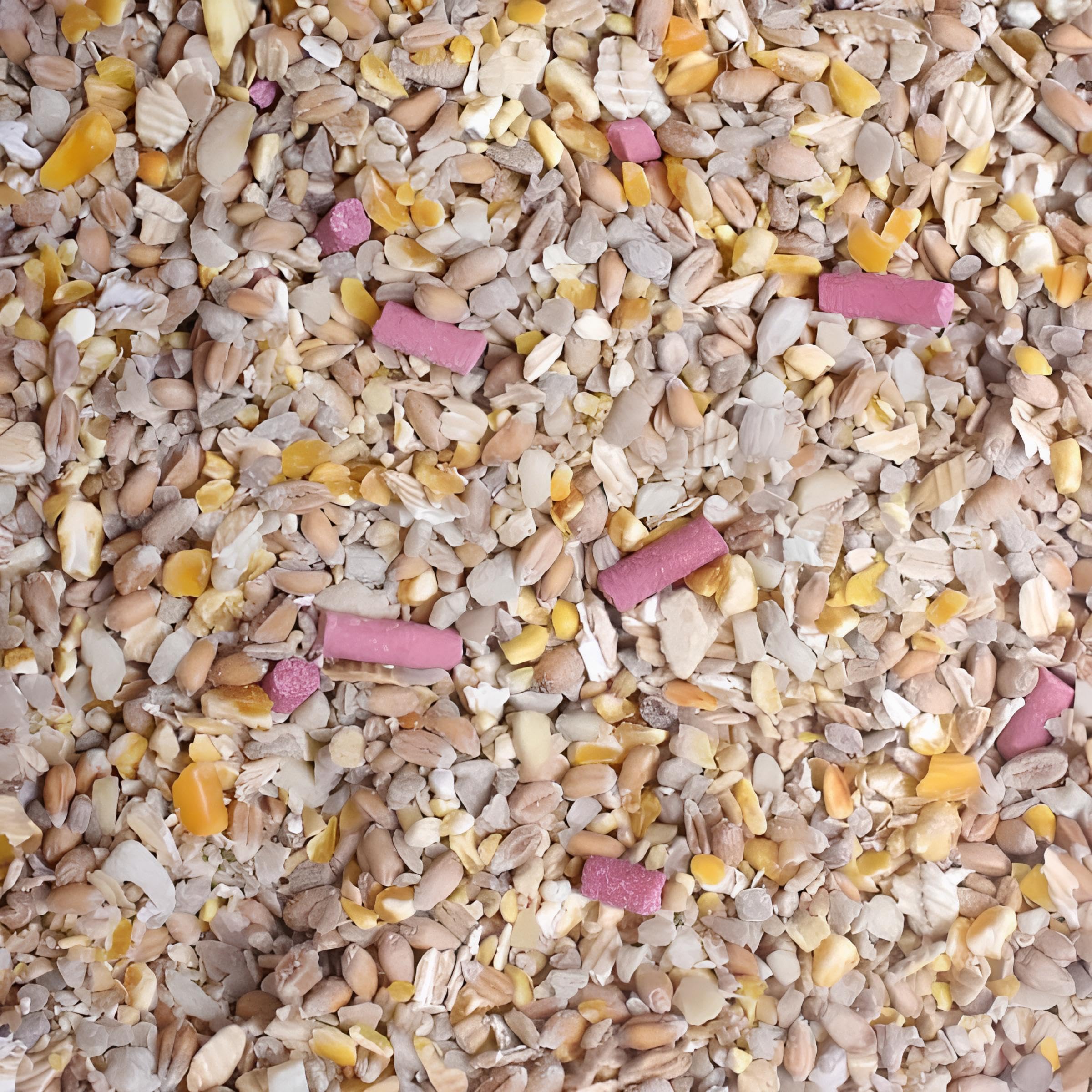 Leagrams Premium No Grow No Mess Wild Bird Seed Mix – Husk-Free, High-Energy Gar