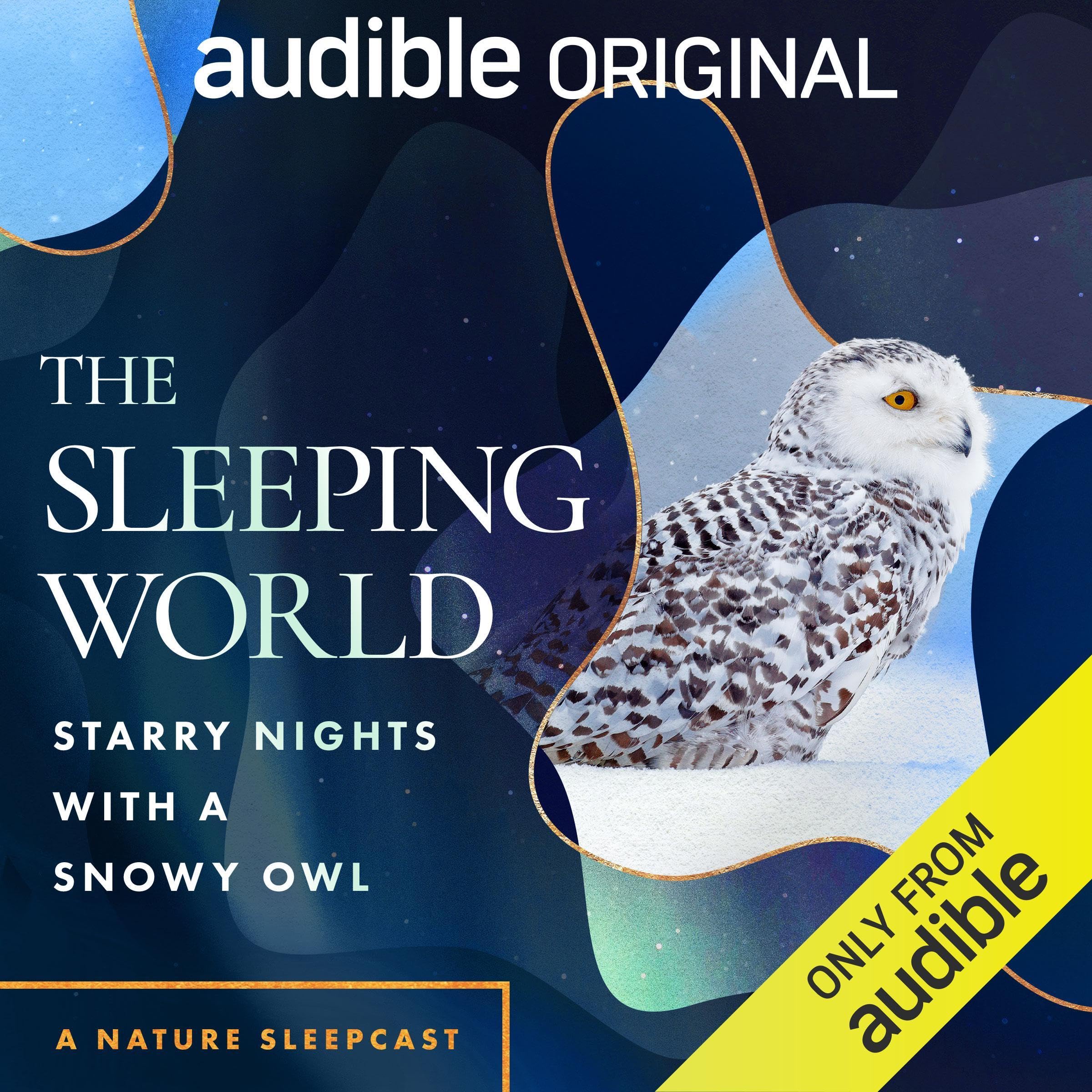 The Sleeping World: Starry Nights with a Snowy Owl