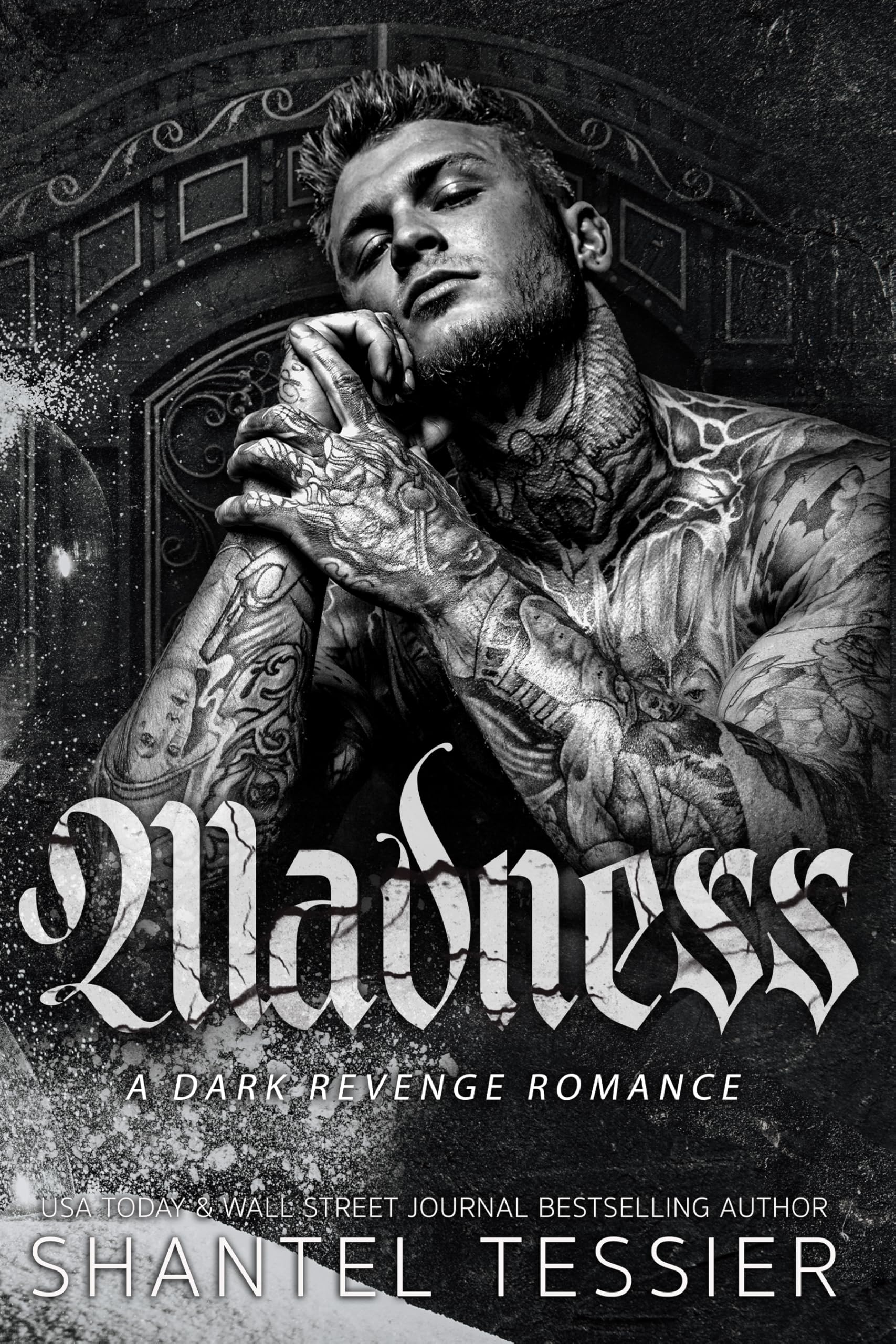 Madness: A Dark Revenge Romance