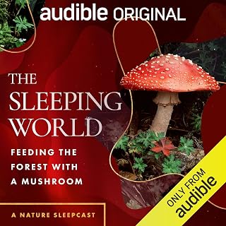 The Sleeping World: Feeding the Forest with a Mushroom