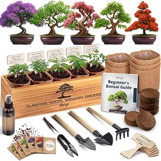 Bonsai Tree Kit Deluxe - Growing 5 Unique Japanese Bonzai Trees | Complete Indoor Bonsai Starter Kits for Growing Trees – Plant Lovers Gifts for Women & Men