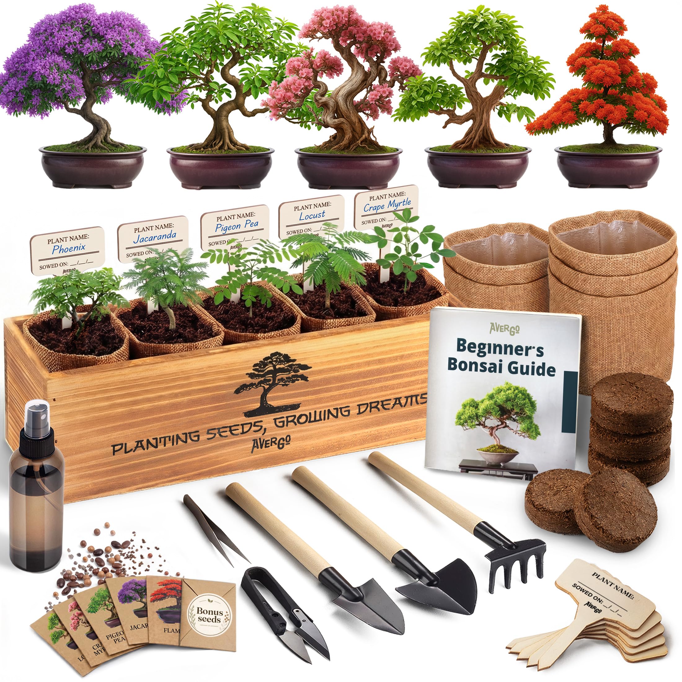 Bonsai Tree Kit Deluxe - Growing 5 Unique Japanese Bonzai Trees | Complete Indoo