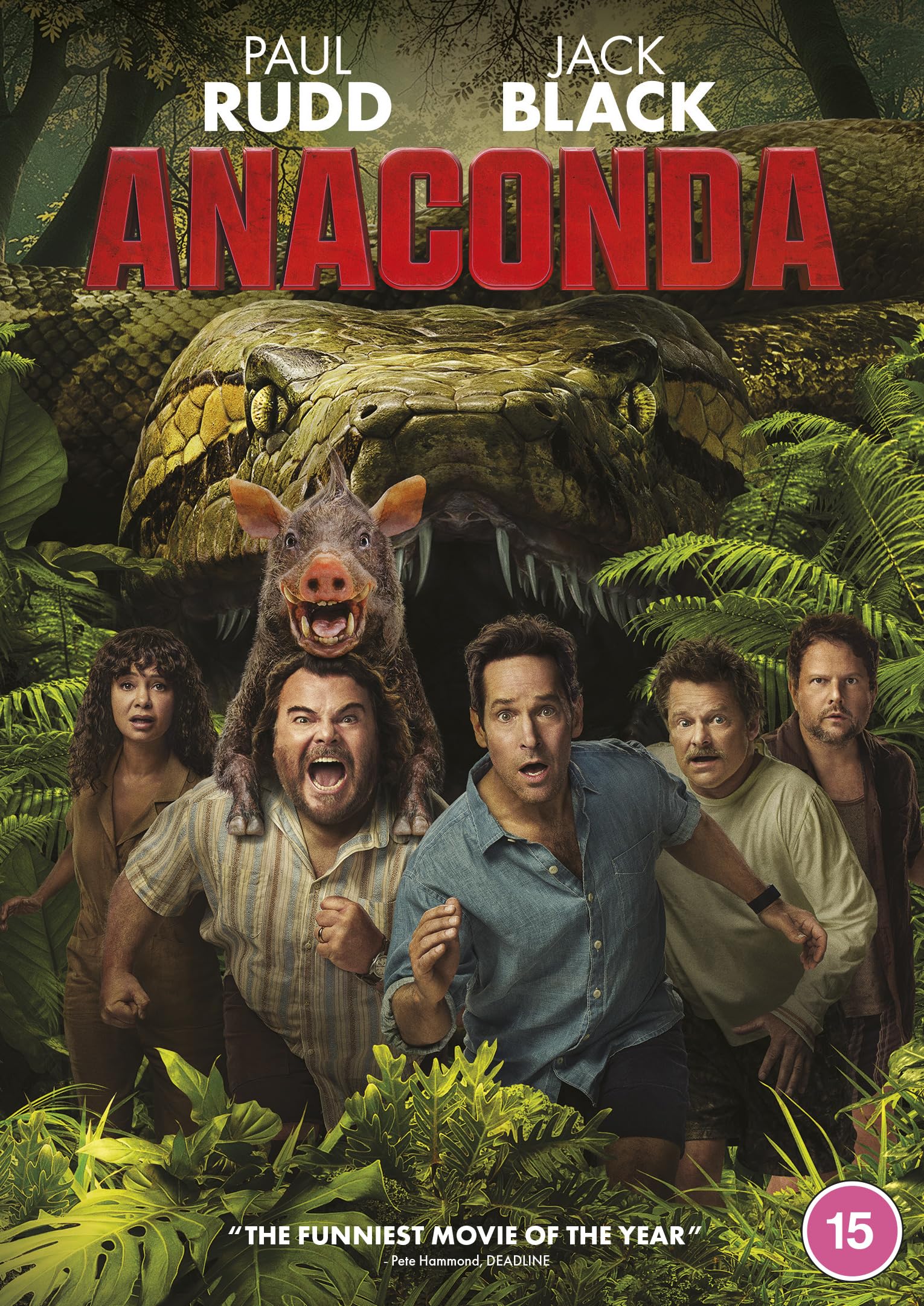 Anaconda