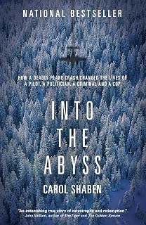 Into the Abyss: How a Deadly Plane Crash Changed the Lives of a Pilot, a Politician, a Criminal and a Cop