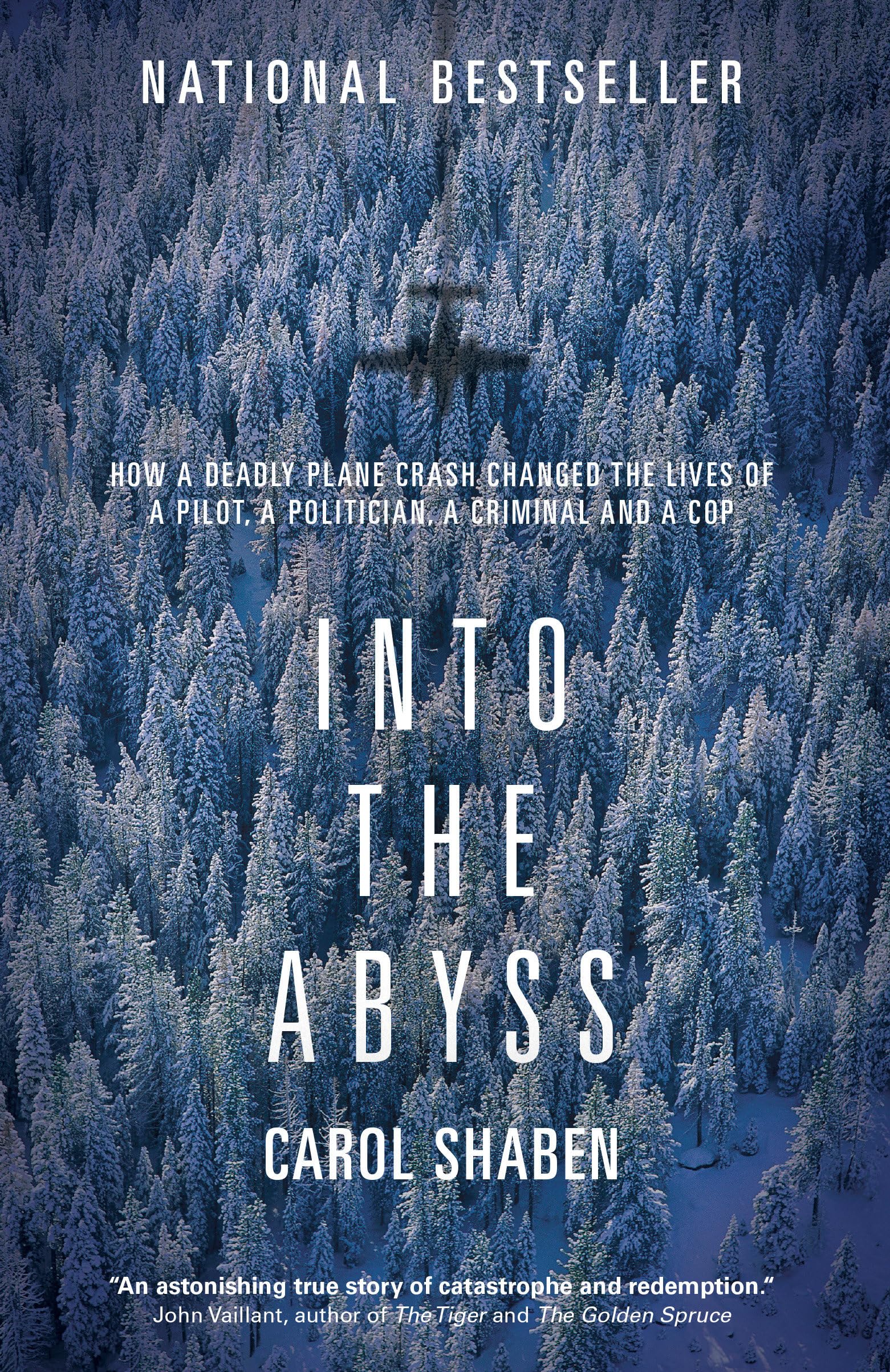 Into the Abyss: How a Deadly Plane Crash Changed the Lives of a Pilot, a Politic
