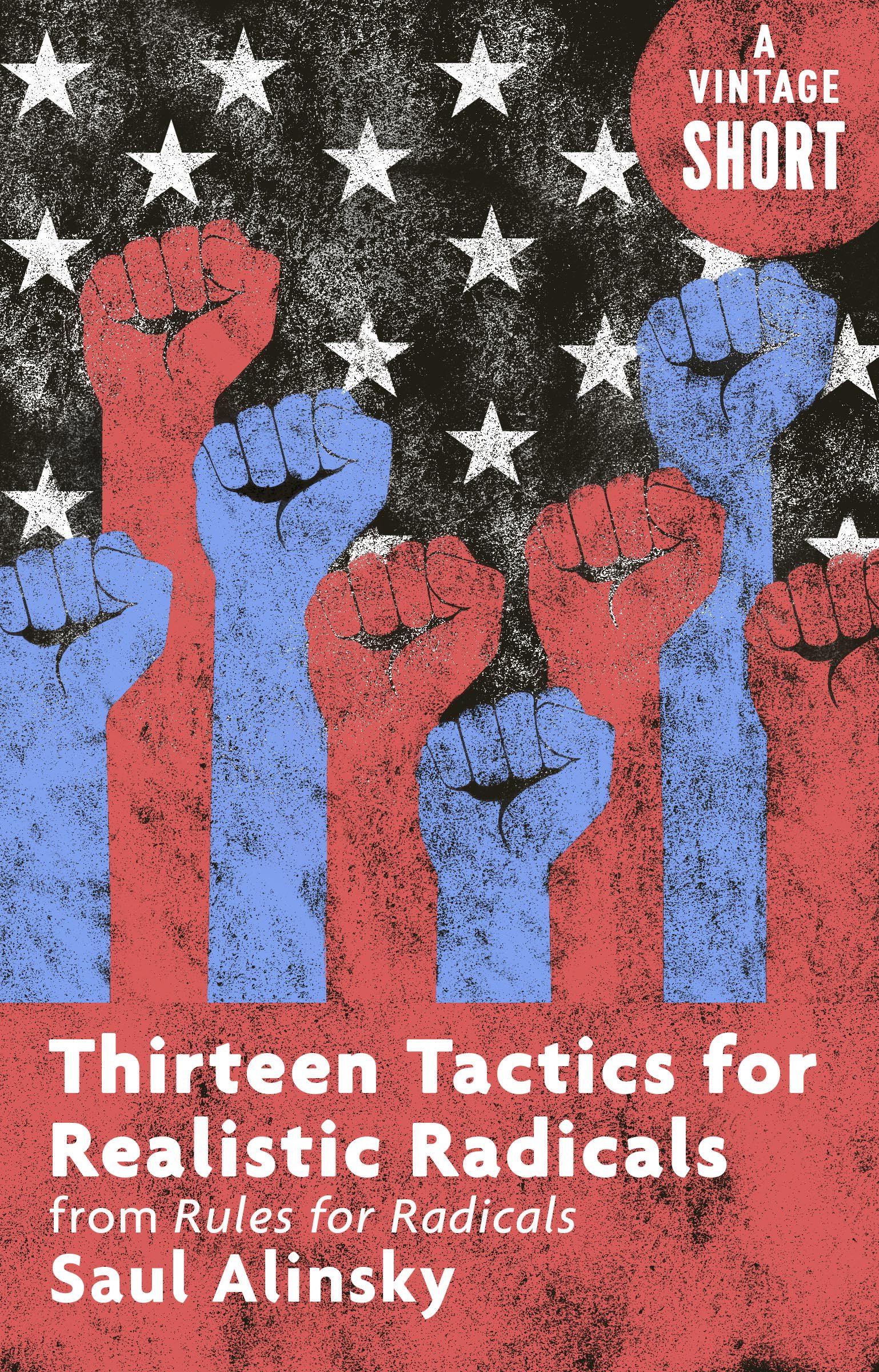 Thirteen Tactics for Realistic Radicals: from Rules for Radicals (Kindle Single)