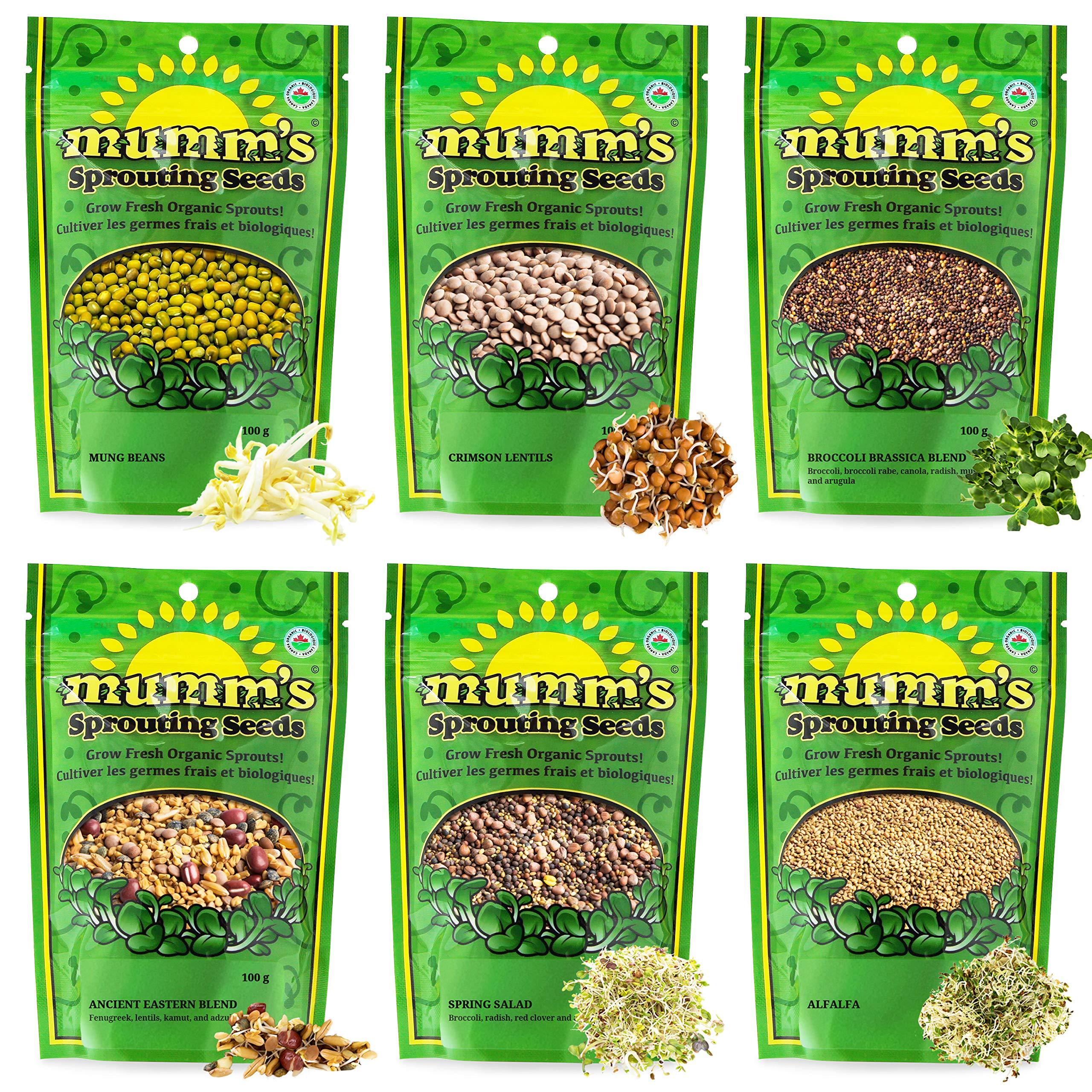 Mumm's Sprouting Seeds - Starter Sample Pack - 625 GR - Organic Sprout Seed Kit 