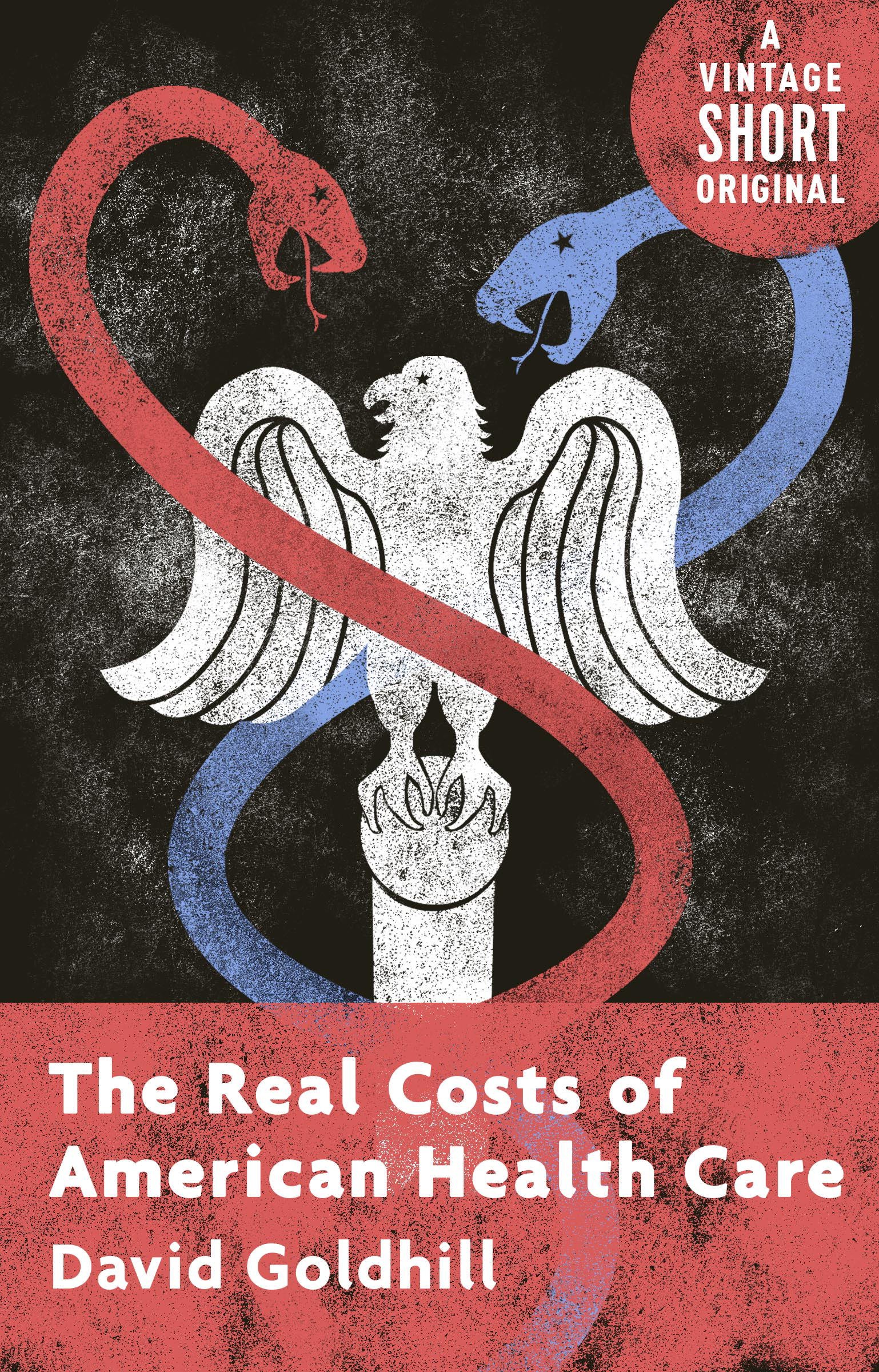 The Real Costs of American Health Care (Kindle Single) (A Vintage Short)